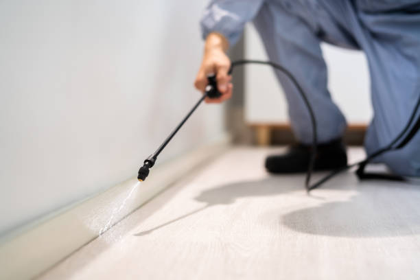 Professional exterminator conducting IPM assessment in Hawthorne